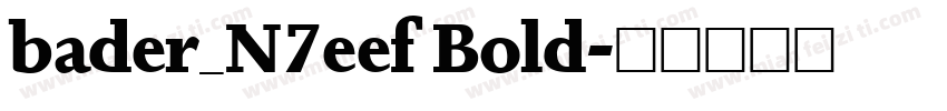 bader_N7eef Bold字体转换